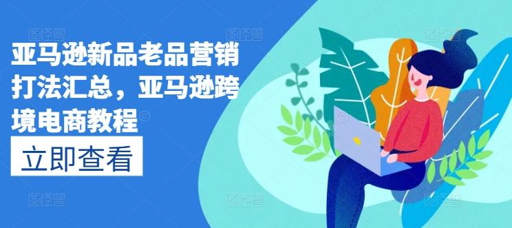 亚马逊新品老品营销打法汇总，亚马逊跨境电商教程-小鹏项目网