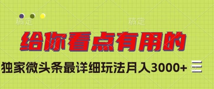 独家微头条最详细玩法，月入3000+【揭秘】-小鹏项目网