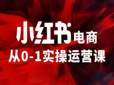 小红书电商从0-1实操运营课，让你从小白到精英-小鹏项目网
