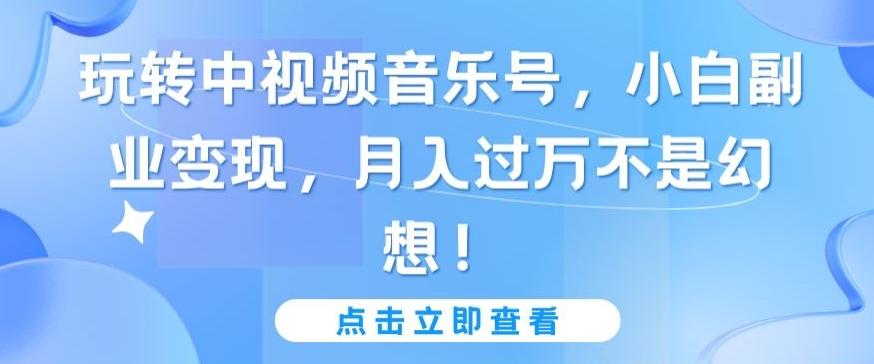 玩转中视频音乐号，小白副业变现，月入过万不是幻想【揭秘】-小鹏项目网