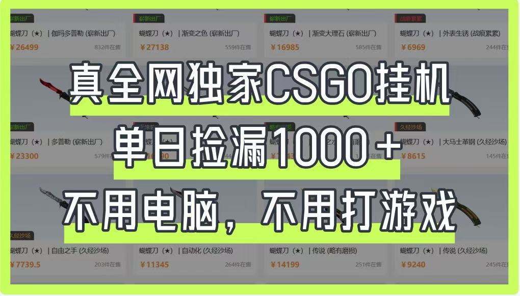 真全网独家CSGO挂机，单日捡漏1000+，不用电脑，不用养号-小鹏项目网