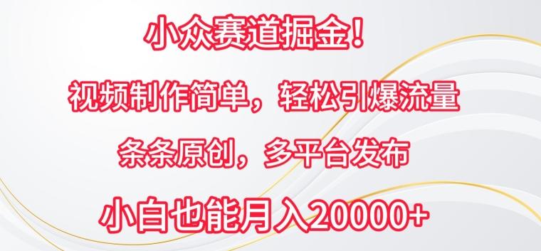 小众赛道掘金，视频制作简单，轻松引爆流量，条条原创，多平台发布【揭秘】-小鹏项目网