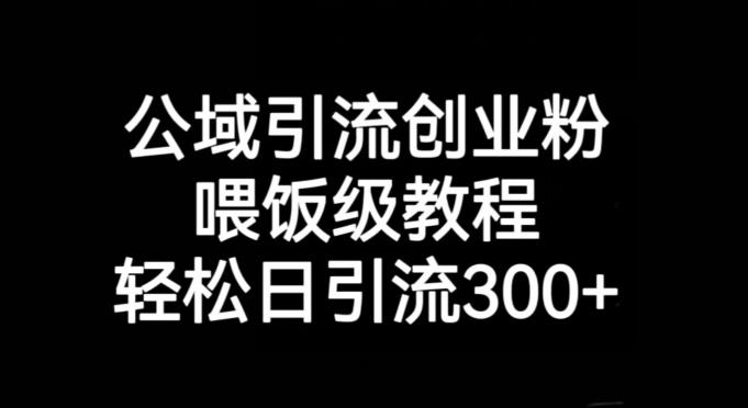 公域引流创业粉，喂饭级教程，轻松日引流300+【揭秘】-小鹏项目网