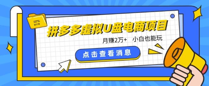 拼多多虚拟U盘电商红利项目：月赚2万+，新手小白也能玩-小鹏项目网