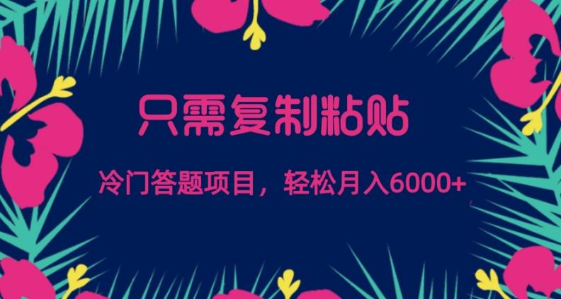 只需复制粘贴，冷门答题项目，轻松月入6000-小鹏项目网
