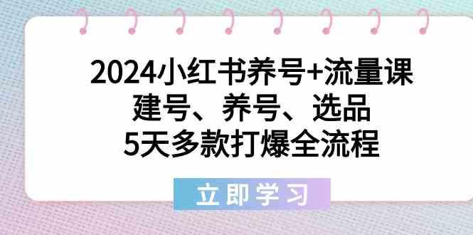 2024小红书养号+流量课：建号、养号、选品，5天多款打爆全流程-小鹏项目网