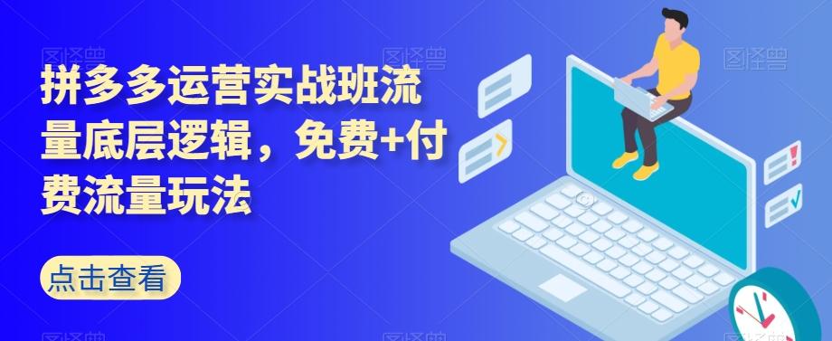 拼多多运营实战班流量底层逻辑，免费+付费流量玩法-小鹏项目网