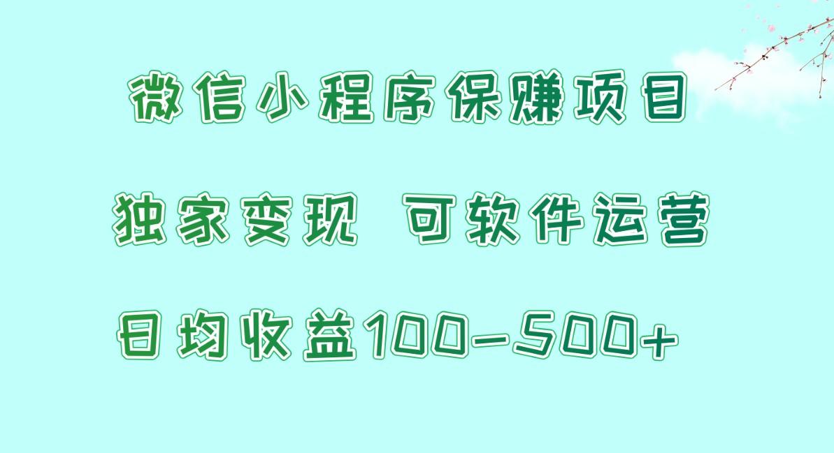 微信小程序保赚项目，日均收益100~500+，独家变现，可软件运营-小鹏项目网