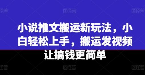 小说推文搬运新玩法，小白轻松上手，搬运发视频让搞钱更简单-小鹏项目网