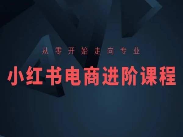 从零开始走向专业，小红书电商进阶课程-小鹏项目网