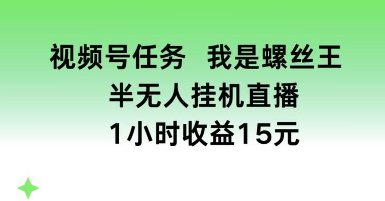 视频号任务，我是螺丝王， 半无人挂机1小时收益15元【揭秘】-小鹏项目网