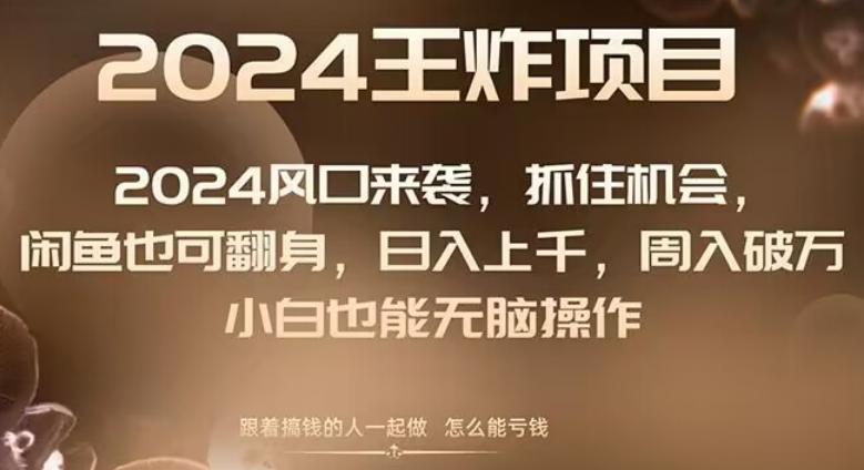 2024风口项目来袭，抓住机会，闲鱼也可翻身，日入上千，周入破万，小白也能无脑操作-小鹏项目网