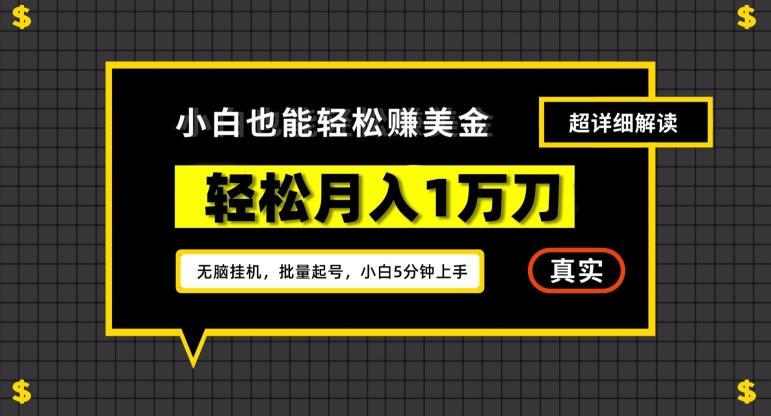 谷歌看广告撸美金2.0，无脑挂机，多号操作，月入1万刀【揭秘】-小鹏项目网