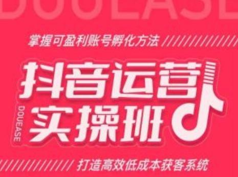抖音运营实操班，掌握可盈利账号孵化方法，打造高效低成本获客系统-小鹏项目网