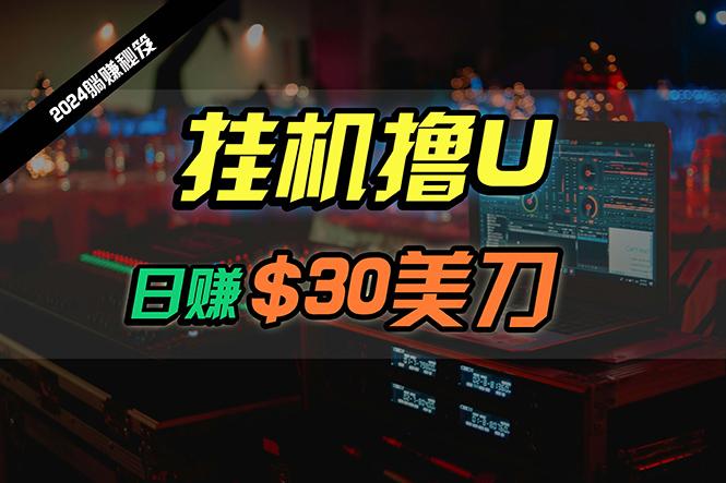 (10013期)日赚30美刀，2024最新海外挂机撸U内部项目，全程无人值守，可批量放大-小鹏项目网