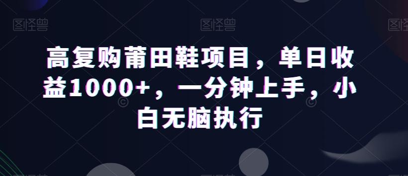 高复购莆田鞋项目，单日收益1000+，一分钟上手，小白无脑执行-小鹏项目网