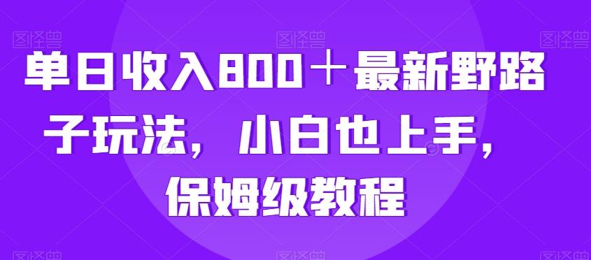 单日收入800＋最新野路子玩法，小白也上手，保姆级教程-小鹏项目网