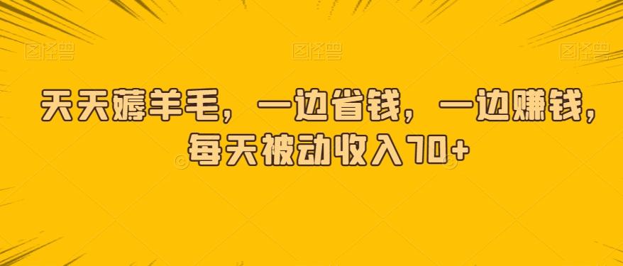 天天薅羊毛，一边省钱，一边赚钱，每天被动收入70+-小鹏项目网