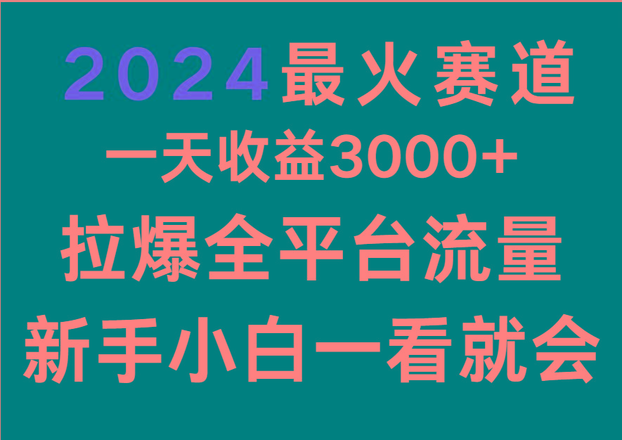 2024最火赛道，一天收一3000+.拉爆全平台流量，新手小白一看就会-小鹏项目网