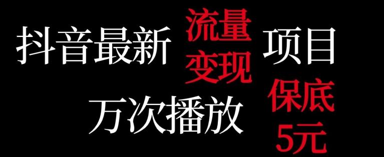 抖音流量变现，万次播放保底5元，额外收入-小鹏项目网