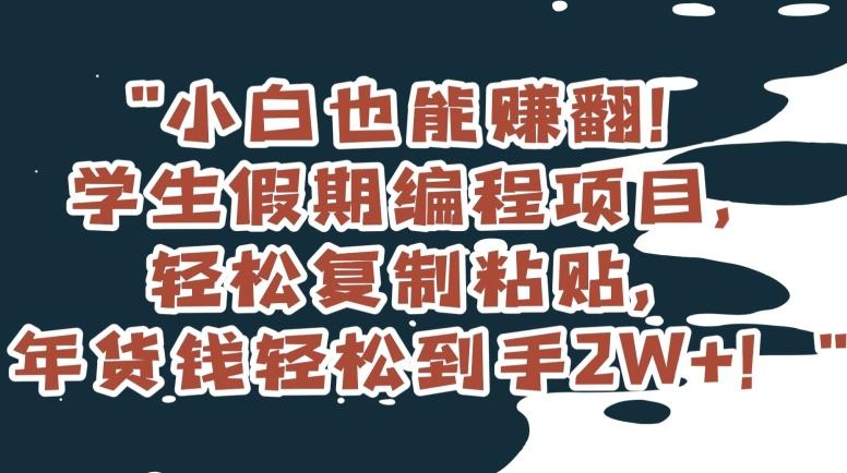 小白也能赚翻！学生假期编程项目，轻松复制粘贴，年货钱轻松到手2W+【揭秘】-小鹏项目网