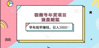 视频号年货项目，流量贼猛，早布局早挣钱，日入上k【揭秘】-小鹏项目网