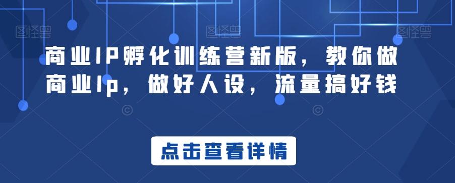 商业IP孵化训练营新版，教你做商业Ip，做好人设，流量搞好钱-小鹏项目网