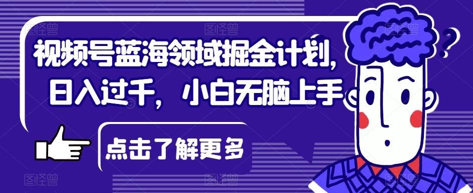 视频号蓝海领域掘金计划，日入过千，小白无脑上手【揭秘】-小鹏项目网