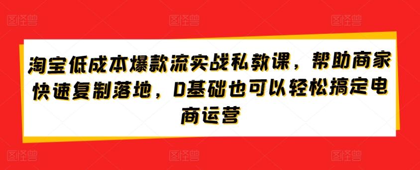 淘宝低成本爆款流实战私教课，帮助商家快速复制落地，0基础也可以轻松搞定电商运营-小鹏项目网