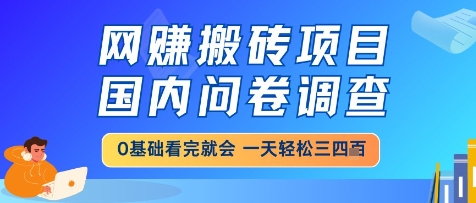 网创搬砖项目，国内问卷调查，小白轻松上手，一天三四张的也不难，干就完了【揭秘】-小鹏项目网
