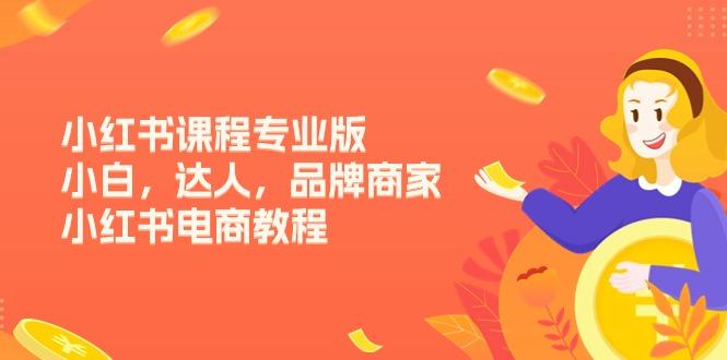 小红书课程专业版，小白，达人，品牌商家，小红书电商教程(15节-小鹏项目网