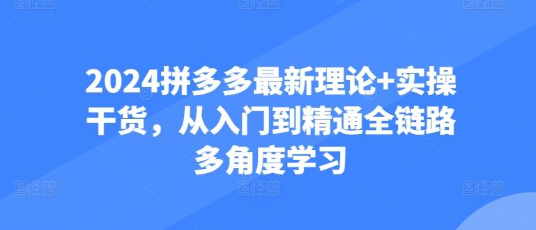 2024拼多多最新理论+实操干货，从入门到精通全链路多角度学习-小鹏项目网