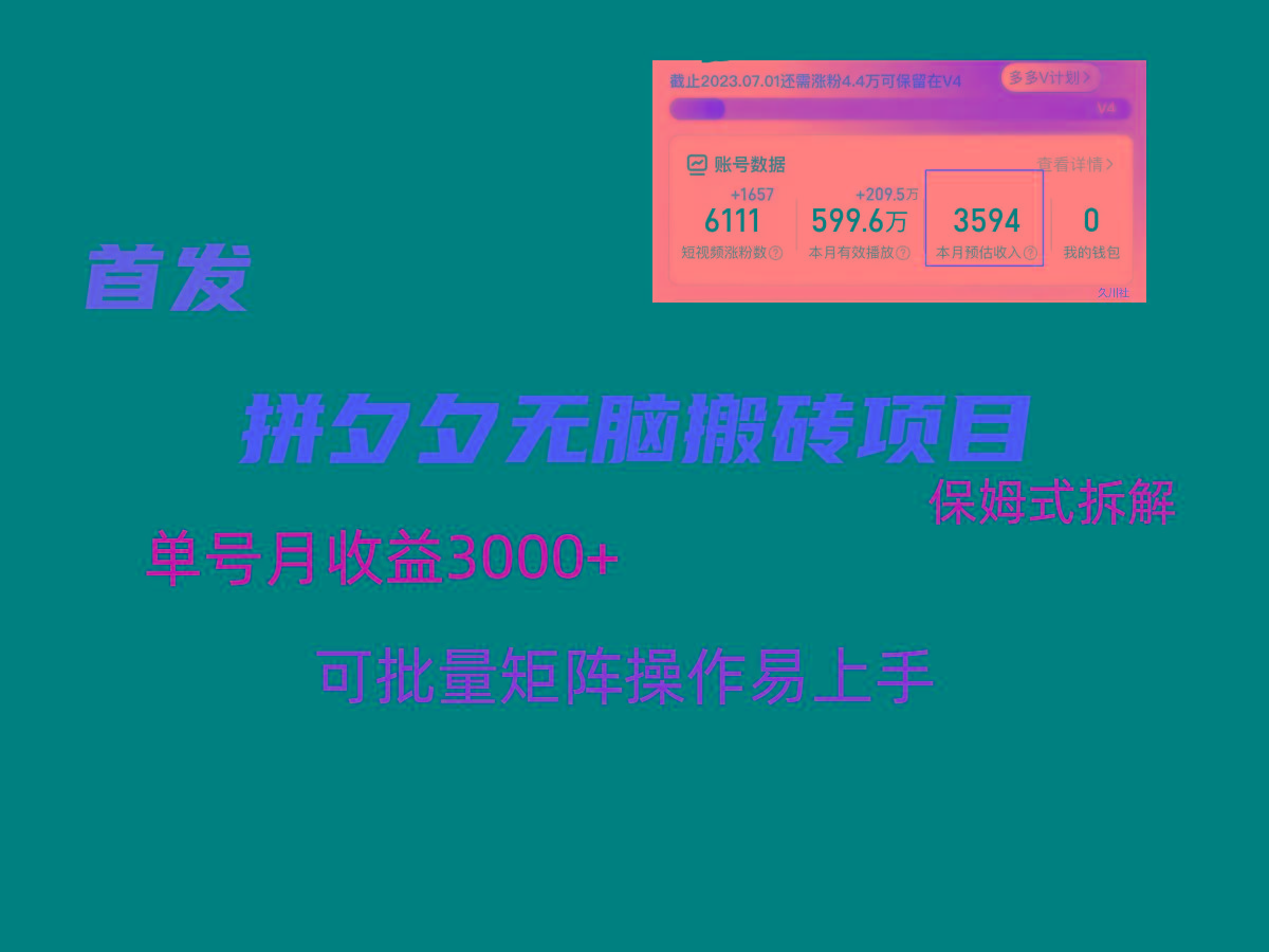 拼夕夕无脑搬砖，单号稳定收益3000+，保姆式拆解-小鹏项目网