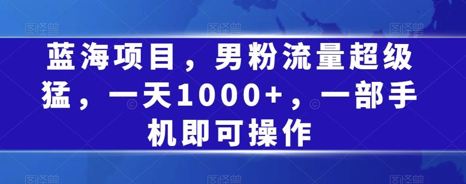 蓝海项目，男粉流量超级猛，一天1000+，一部手机即可操作【揭秘】-小鹏项目网