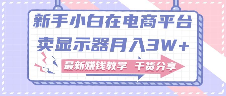 新手小白如何做到在电商平台卖显示器月入3W+，最新赚钱教学干货分享-小鹏项目网