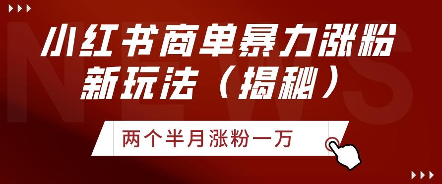 小红书商单暴力涨粉新玩法两个半月涨粉一万（揭秘）-小鹏项目网