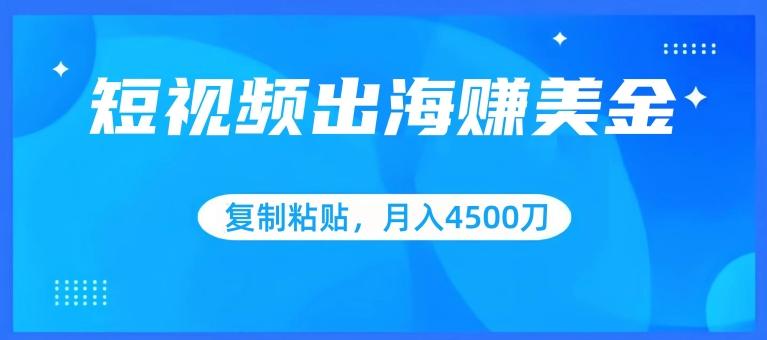 短视频出海赚美金，复制粘贴批量操作，小白轻松掌握，月入4500美刀【揭秘】-小鹏项目网