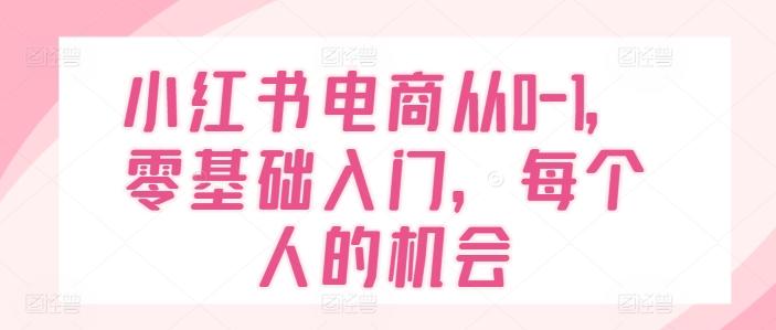 小红书电商从0-1，零基础入门，每个人的机会-小鹏项目网