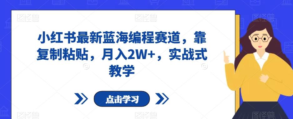小红书最新蓝海编程赛道，靠复制粘贴，月入2W+，实战式教学【揭秘】-小鹏项目网