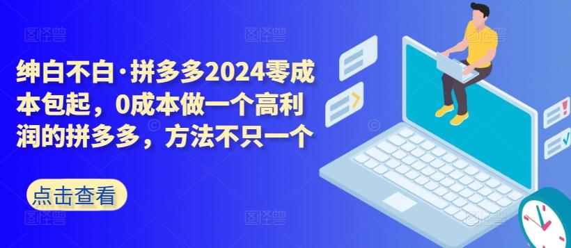 拼多多2024零成本包起，0成本做一个高利润的拼多多，方法不只一个-小鹏项目网