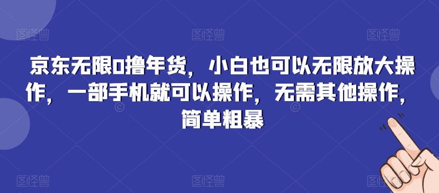京东无限0撸年货，小白也可以无限放大操作，一部手机就可以操作，无需其他操作，简单粗暴-小鹏项目网