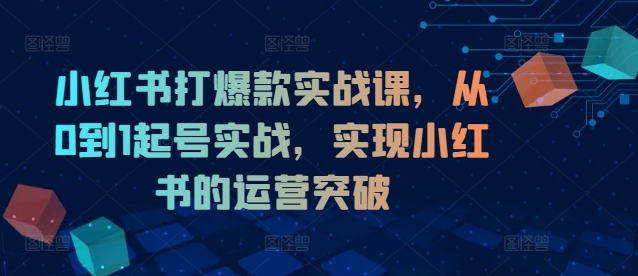 小红书打爆款实战课，从0到1起号实战，实现小红书的运营突破-小鹏项目网