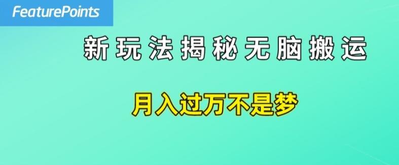 简单操作，每天50美元收入，搬运就是赚钱的秘诀【揭秘】-小鹏项目网