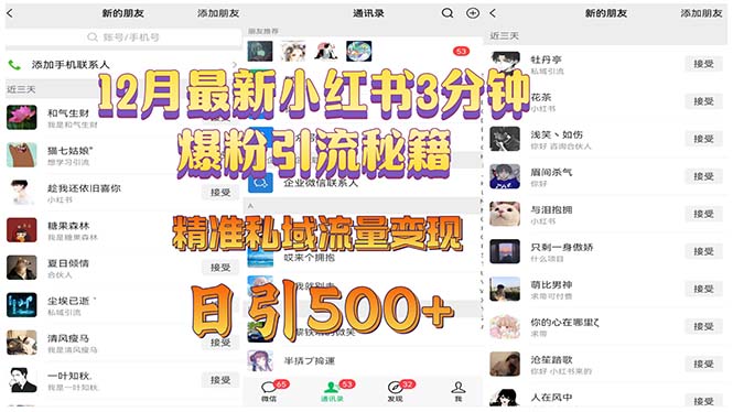 12月最新小红书3分钟爆粉引流秘籍 精准私域流量变现 日引500+-小鹏项目网