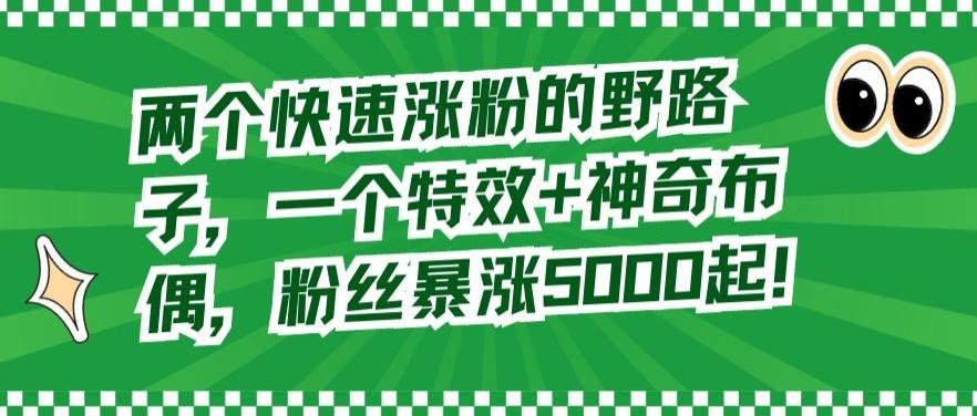 两个快速涨粉的野路子，一个特效+神奇布偶，粉丝暴涨5000起【揭秘】-小鹏项目网