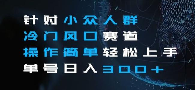 针对小众人群冷门风口赛道，操作简单轻松上手单号日入300+-小鹏项目网