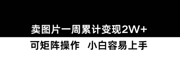 小红书【卖图片】一周累计变现2W+小白易上手-小鹏项目网