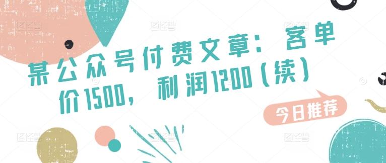 某公众号付费文章：客单价1500，利润1200(续)，市场几乎可以说是空白的-小鹏项目网