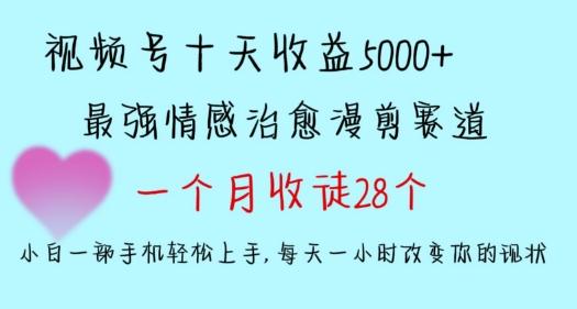 十天收益5000+，多平台捞金，视频号情感治愈漫剪，一个月收徒28个，小白一部手机轻松上手【揭秘】-小鹏项目网