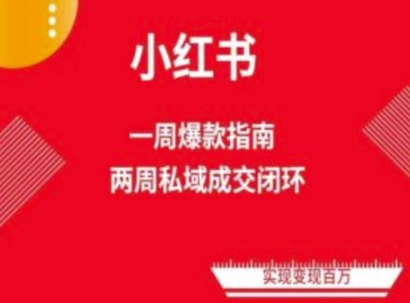 爆款小红书免费流量体系课程(两周变现)，小红书电商教程-小鹏项目网